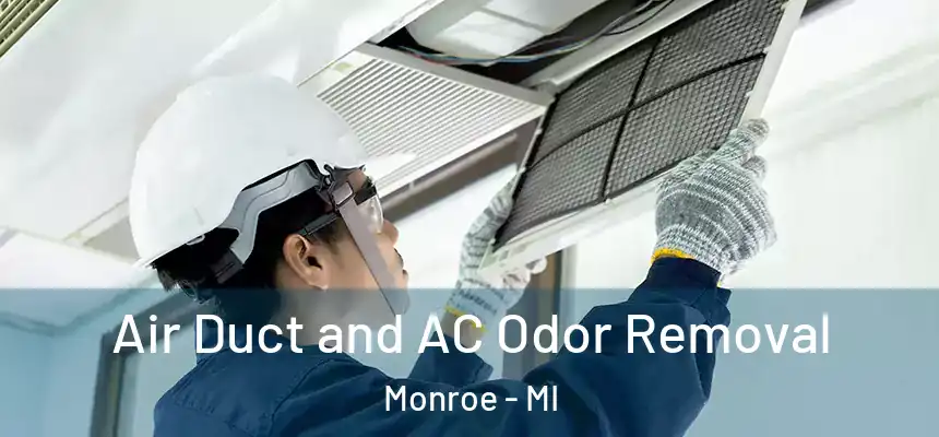  Air Duct and AC Odor Removal Monroe - MI