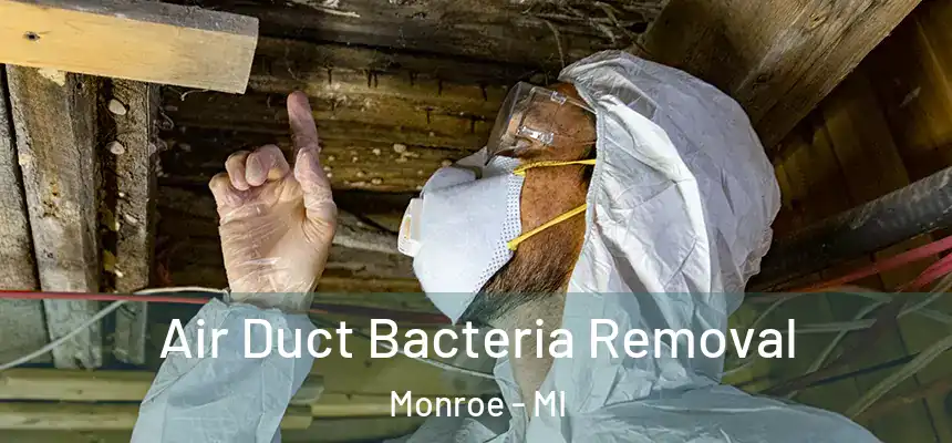  Air Duct Bacteria Removal Monroe - MI