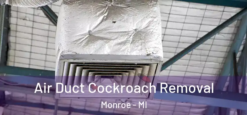 Air Duct Cockroach Removal Monroe - MI