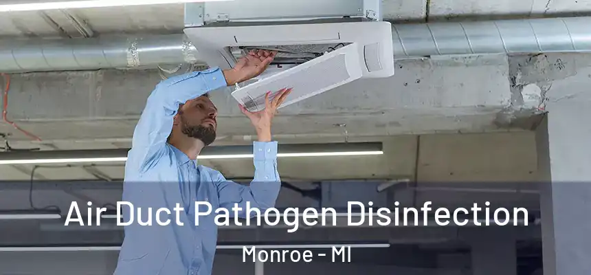 Air Duct Pathogen Disinfection Monroe - MI