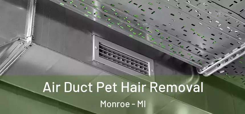 Air Duct Pet Hair Removal Monroe - MI