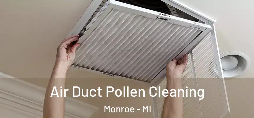 Air Duct Pollen Cleaning Monroe - MI