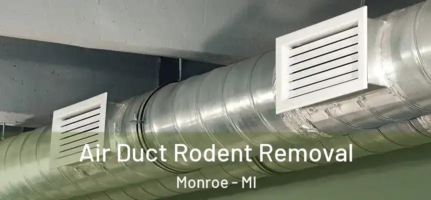  Air Duct Rodent Removal Monroe - MI