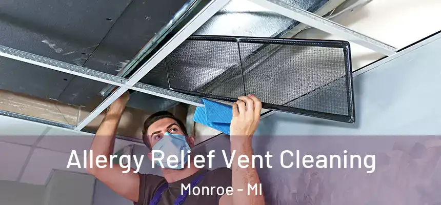 Allergy Relief Vent Cleaning Monroe - MI