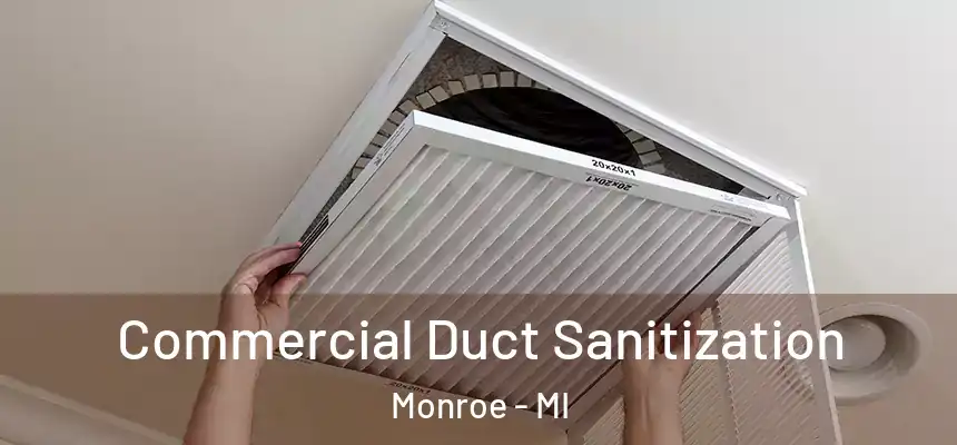 Commercial Duct Sanitization Monroe - MI