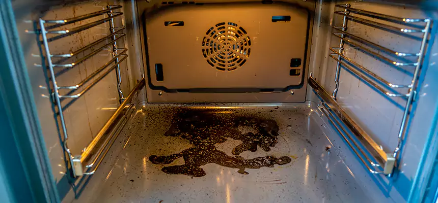 Our Dryer Vent Mold Cleaning Services in Monroe, MI