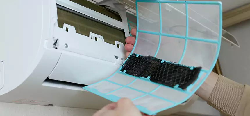 Gentle Ductwork Odor-Control Pet Dander Duct Cleaning in Monroe, MI