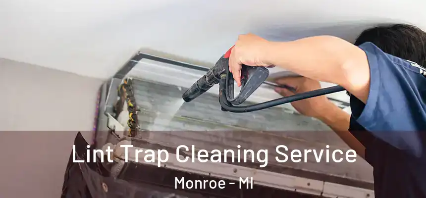 Lint Trap Cleaning Service Monroe - MI
