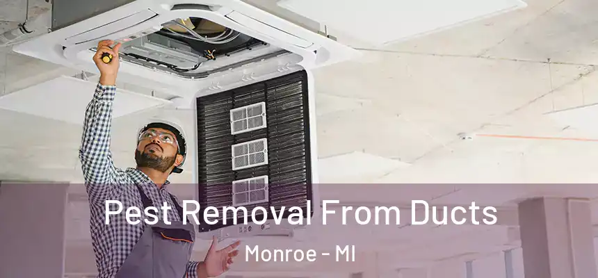 Pest Removal From Ducts Monroe - MI