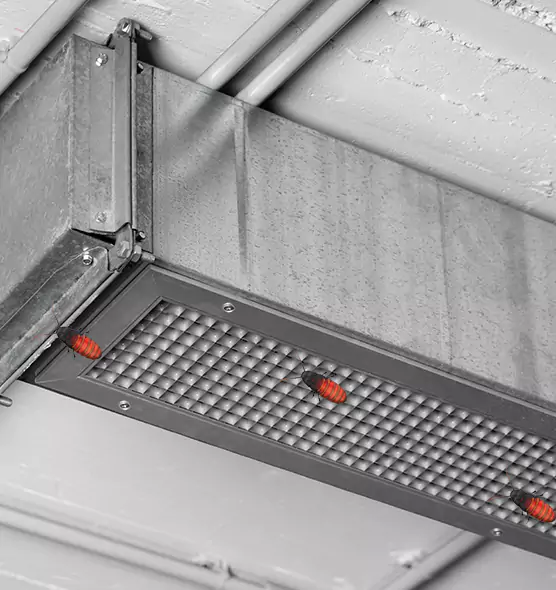 Affordable Insect Removal from Air Ducts in Monroe, MI
