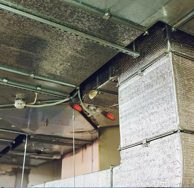 Why Homeowners & Businesses Trust Us in Monroe, MI?