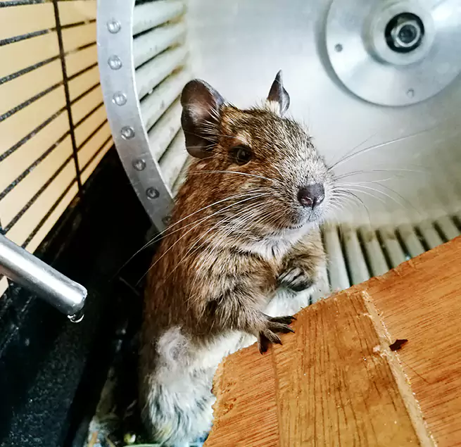 Why Homeowners & Businesses Trust Us Monroe, MI?