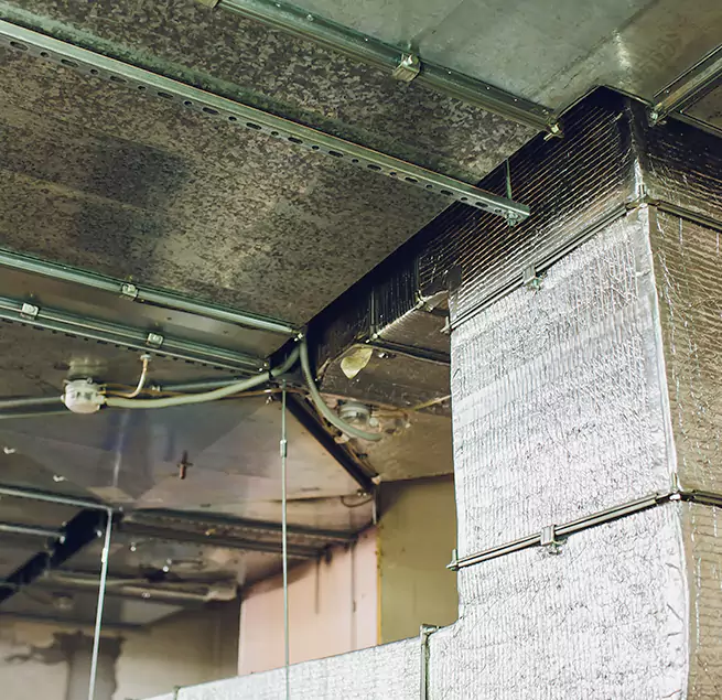 Why Homeowners & Businesses Trust Us in Monroe, MI?